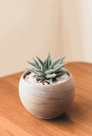 Home 5 henry co FObU8l6PyLA unsplash
